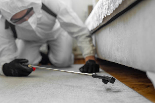 Professional Ant Control technician working in Mastic Beach, NY